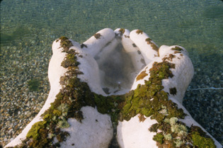 Jackie Brookner, The gift of water, 2001. ©Jackie Brookner 2013. Cortesía de la artista.