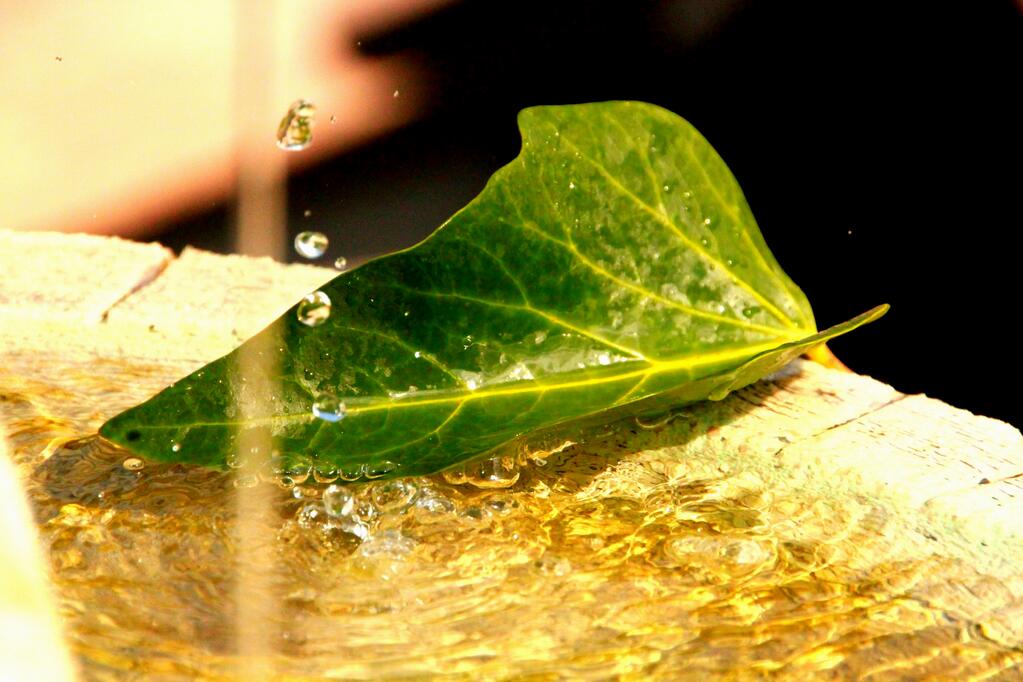 fuente_de_agua_y_naturaleza._9_de_septiembre_2013
