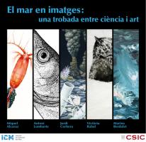 El mar en imágenes: un encuentro entre ciencia y arte