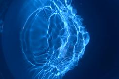 Ondas en el agua