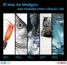 El mar en imágenes: un encuentro entre ciencia y arte
